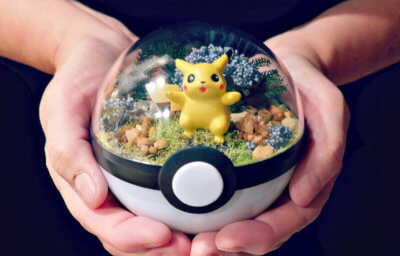 Pokemon Terrarium