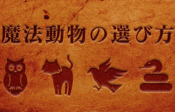 ファンタスティックビースト　魔法動物