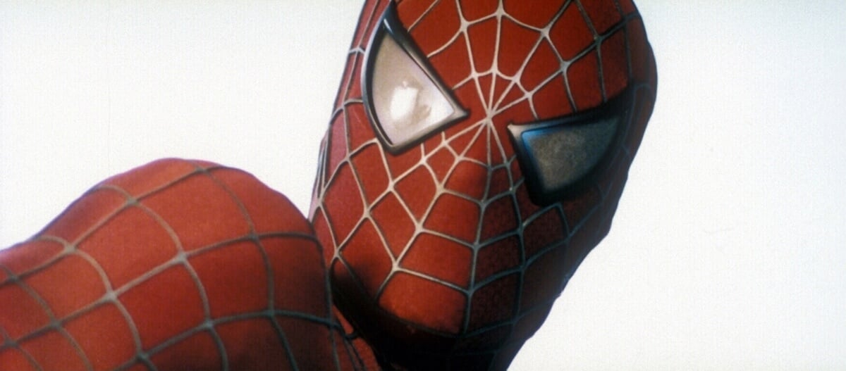 未開封☆レスラー・スパイダーマン、トイビズ、サム・ライミ映画版、MARVEL、 スパイダーマン フィギュア トイビズ マーベルレジェンド サム