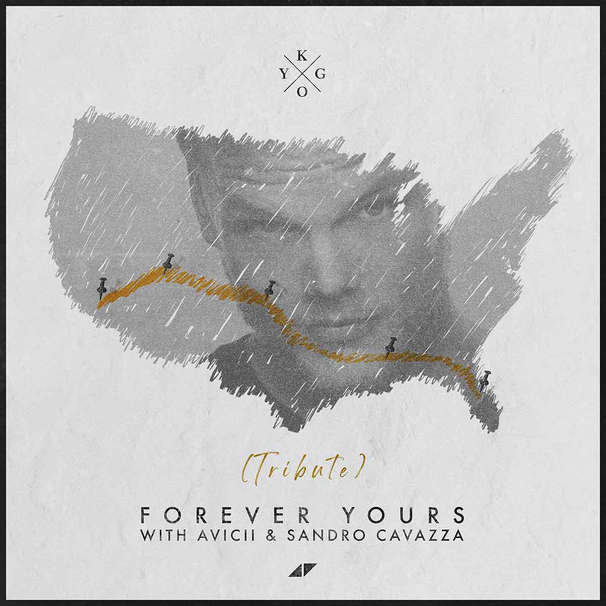 ポップス/ロック(洋楽) avicii Avicii - Hold The Line - ft. ARIZONA - Drop / Extended mix