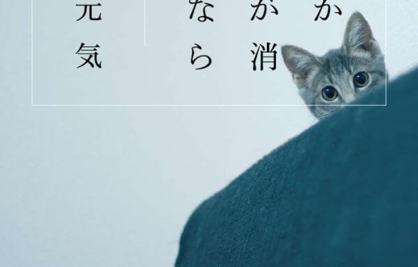 世界から猫が消えたなら