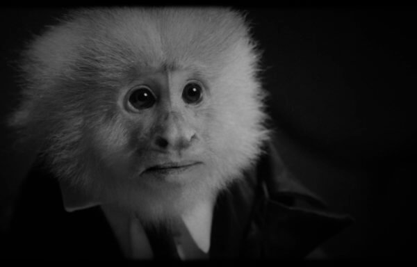 ジャックは一体何をした?