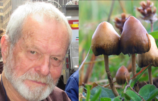 テリー・ギリアム＆マジックマッシュルーム