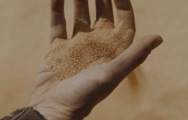 DUNE/デューン 砂の惑星