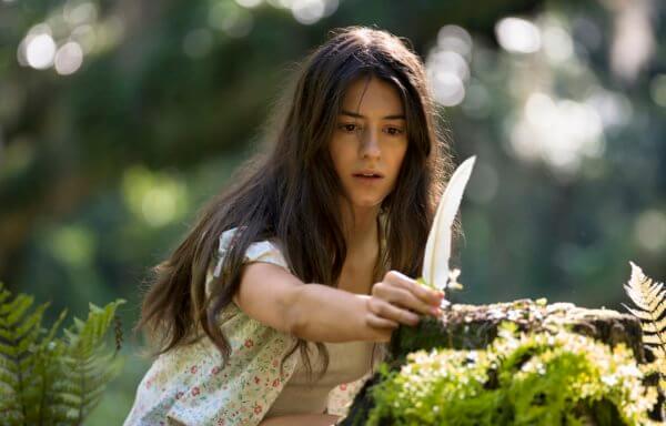 ザリガニの鳴くところ