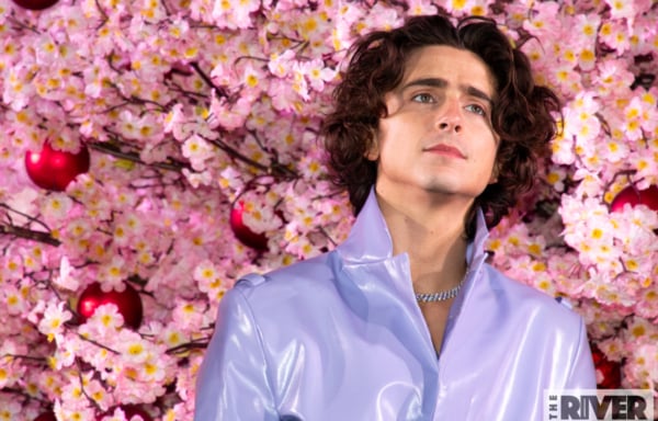 映画『ウォンカとチョコレート工場のはじまり』ジャパンプレミア 撮影写真