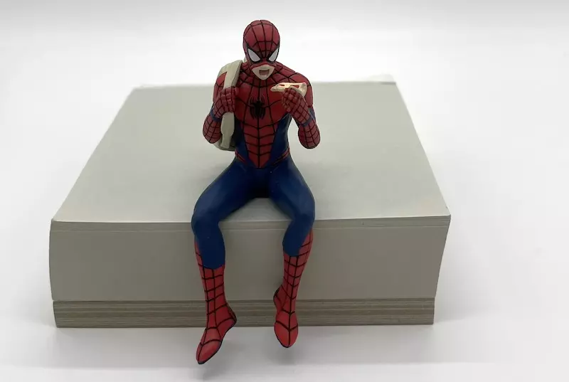 SPIDER-MAN スパイダーマンの日常 MARVEL スパイダーマンの日常 THE WORLD ACCORDING TO SPIDER