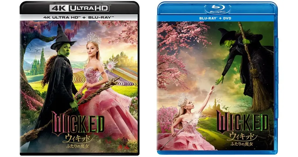 Amazon.co.jp: 【Amazon.co.jp限定】ウィキッド ふたりの魔女