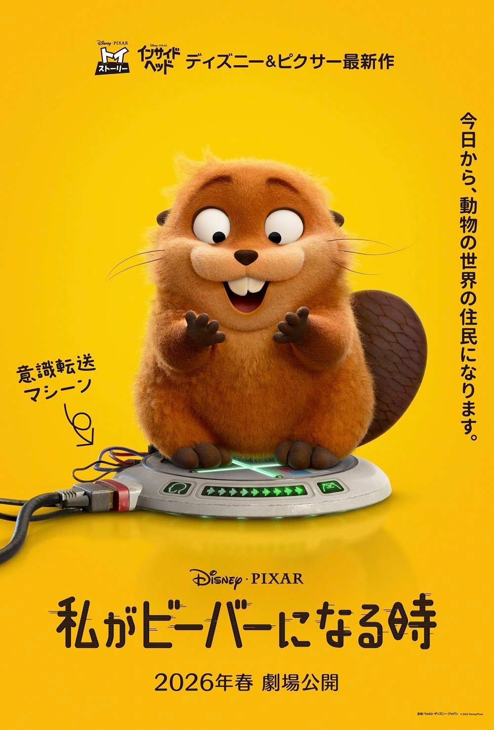 私がビーバーになる時
