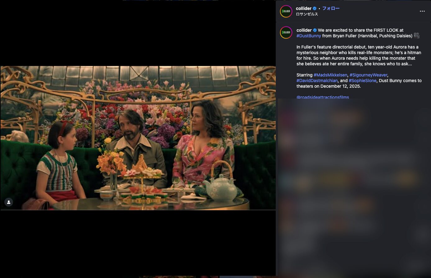 ザ・ドア 交差する世界/マッツ・ミケルセン/ジェシカ・シュヴァルツ