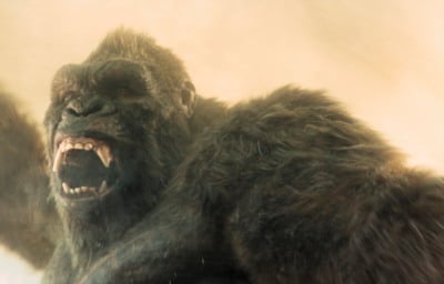 モナーク：レガシー・オブ・モンスターズ