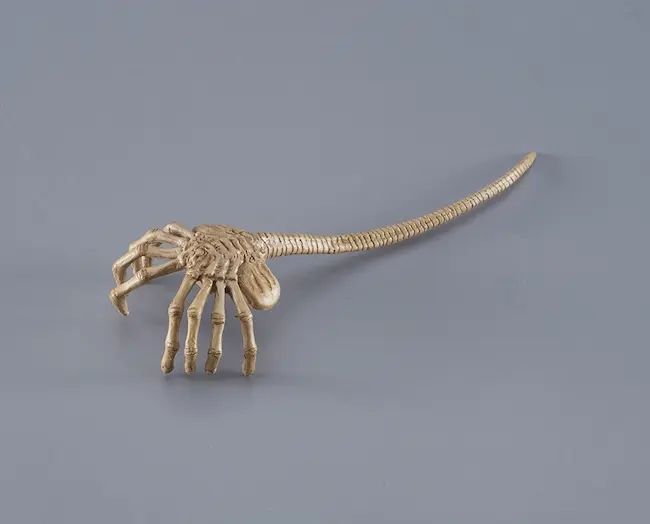 スカルエイリアン 頭部 オブジェ フィギュア約45cm AILANエイリアン骨格 スカルエイリアン 頭部 オブジェ フィギュア約45cm AILANエイリアン骨格