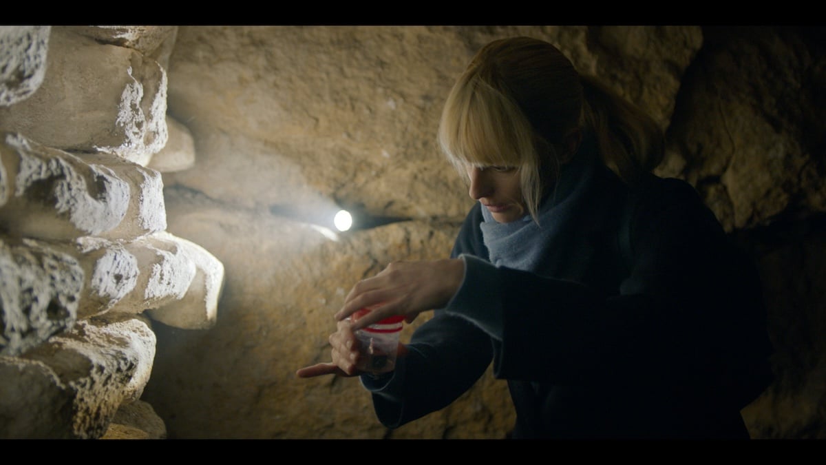 アストリッドとラファエル 文書係の事件録