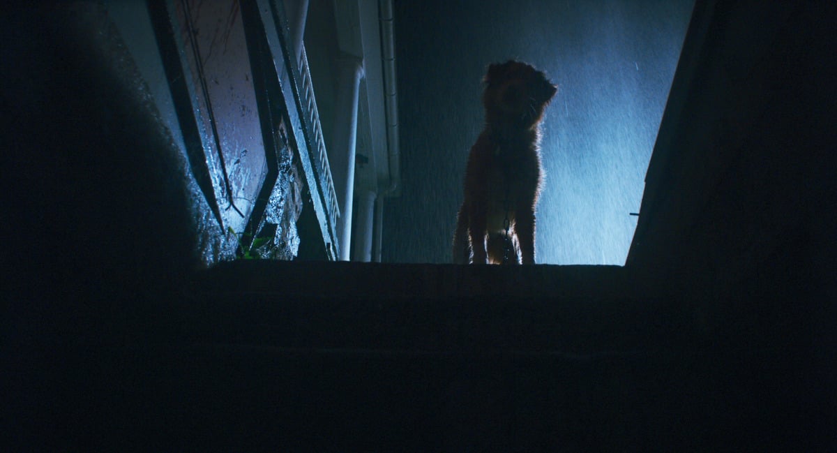 GOOD BOY/グッド・ボーイ