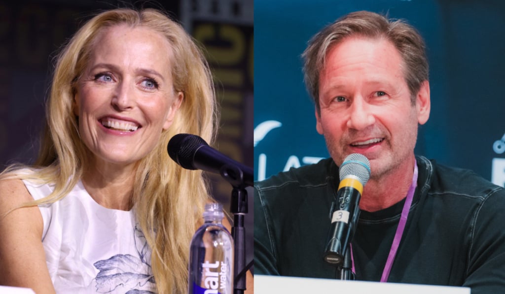 デヴィッド・ドゥカヴニー ジリアン・アンダーソン