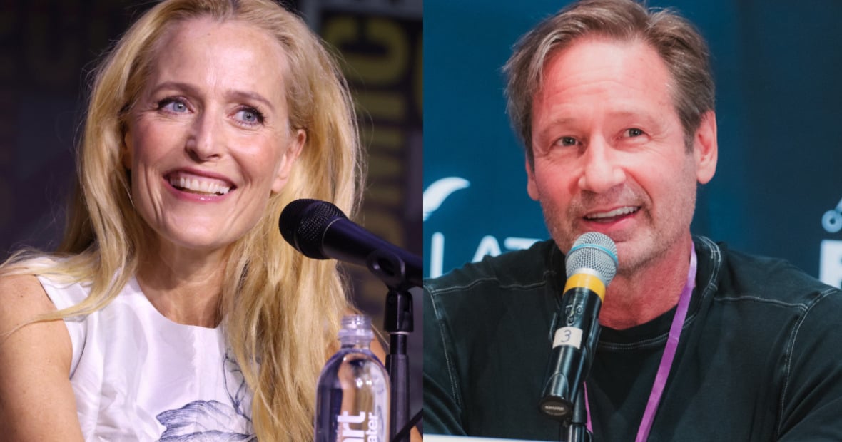 デヴィッド・ドゥカヴニー ジリアン・アンダーソン