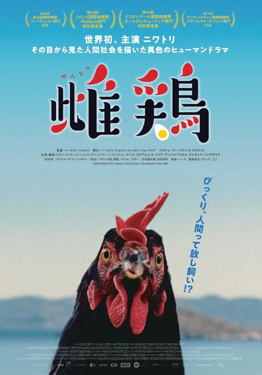 ニワトリ主演映画『雌鶏』公開決定 ─ ニワトリが演技未経験で映画